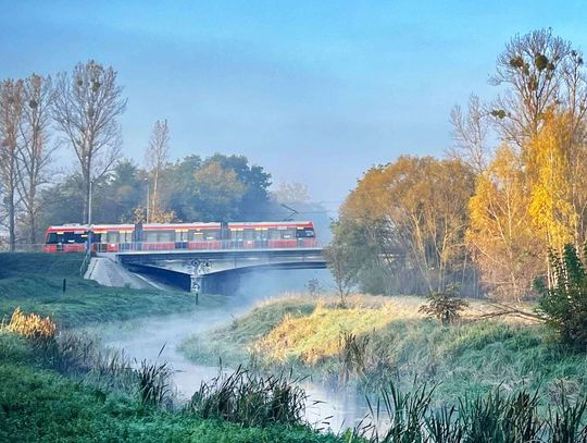 Stare zostaną, dojadą nowe. Tramwajowe plany Częstochowy