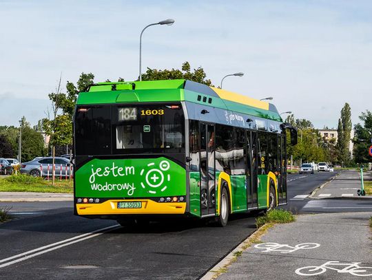 Ambitny plan MPK Poznań. Co trzeci autobus ma być zeroemisyjny. "Jesteśmy dumni"