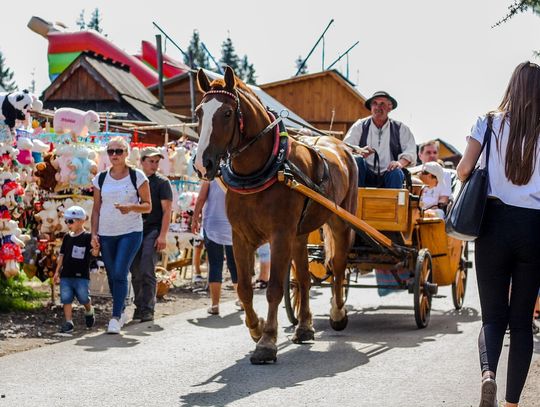 W Zakopanem burmistrz wydzierżawił park. Radni: nie ma takich kompetencji