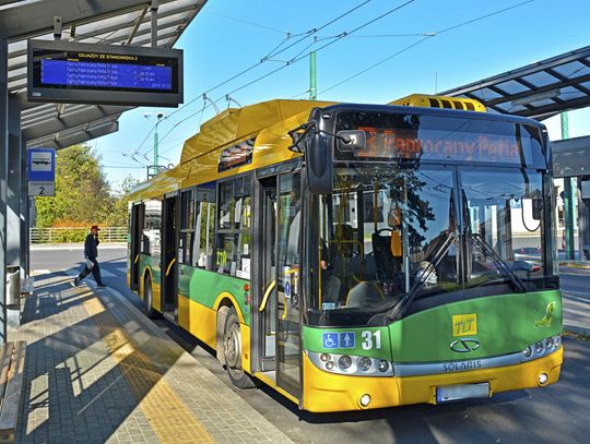 Na zdj. autobus elektryczny.