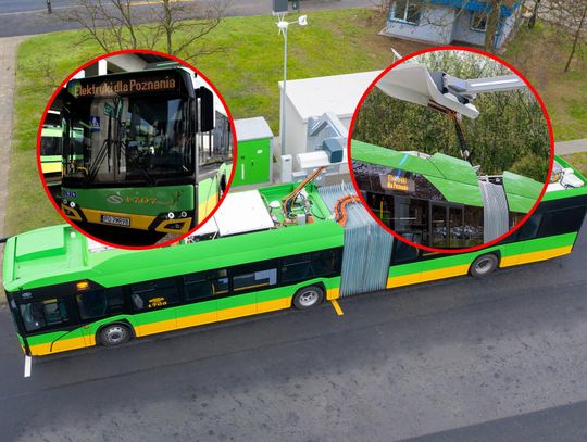 Na zdjęciu autobus MPK Poznań