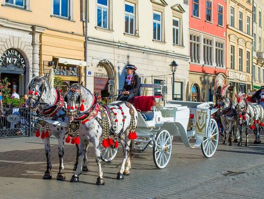 Rynek Główny bez dorożek? Lewica: "Zwierzęta to nie są maszyny"