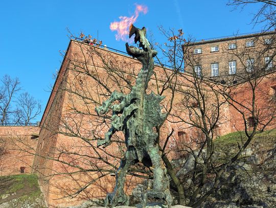 Trzy tygodnie i koniec "diety". Smok Wawelski znów zionie ogniem