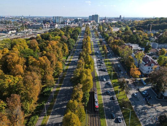 Wielka Aleja Lipowa w Gdańsku.