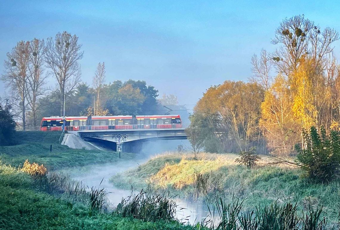 Stare zostaną, dojadą nowe. Tramwajowe plany Częstochowy