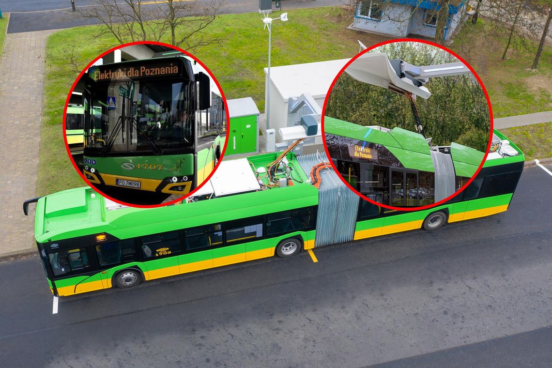 Na zdjęciu autobus MPK Poznań