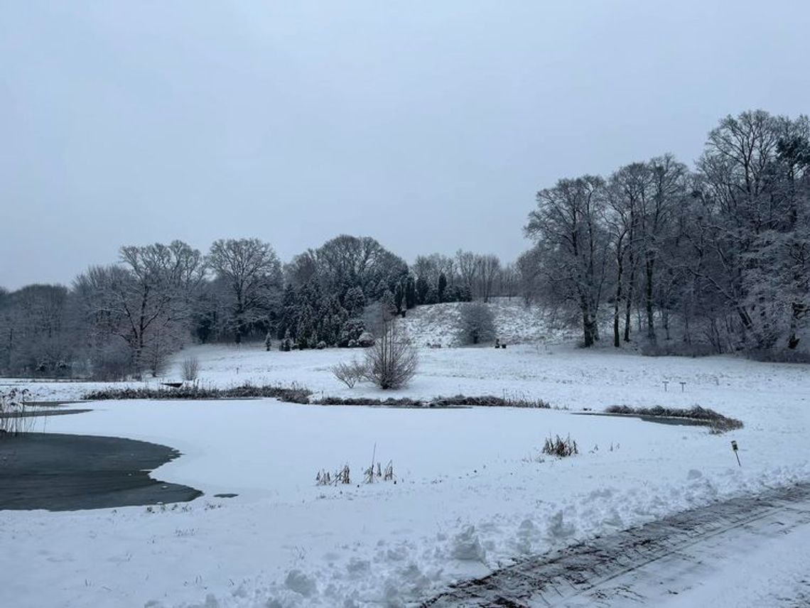 Ogród botaniczny w Bydgoszczy.