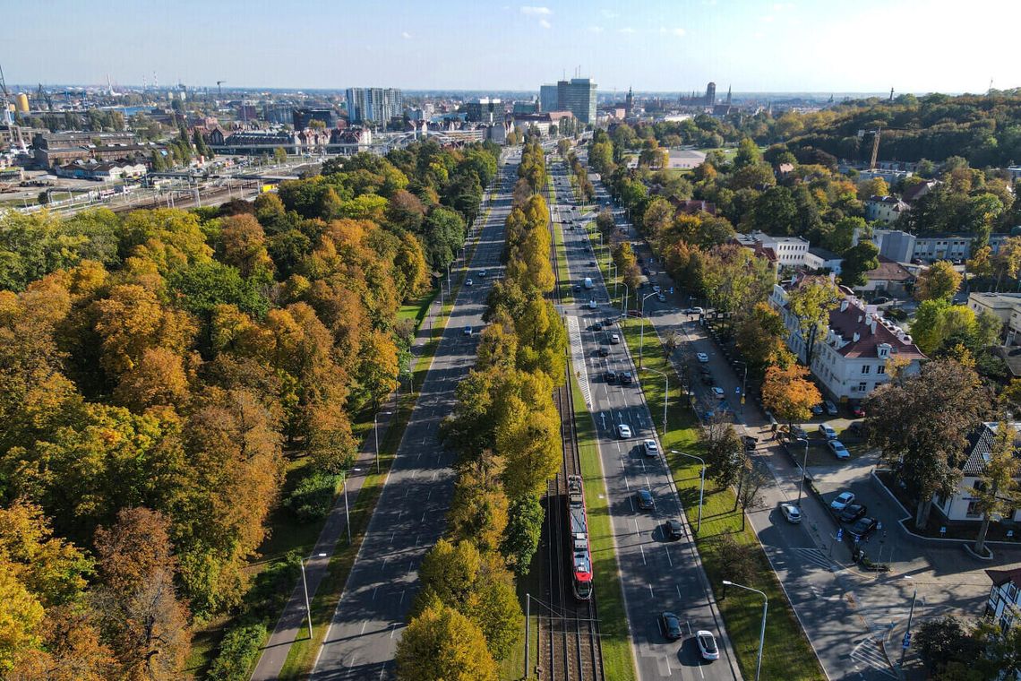 Wielka Aleja Lipowa w Gdańsku.